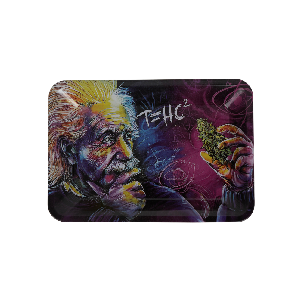 Bandeja metálica Beetle Print con diseño artístico de Einstein y motivo THC el detalle