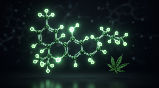 Qué es el HHC cannabinoide semisintético guía 2026
