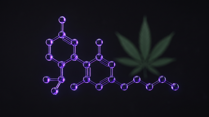 What is THCP: the most potent cannabinoid guide 2026 — Beetle Print
