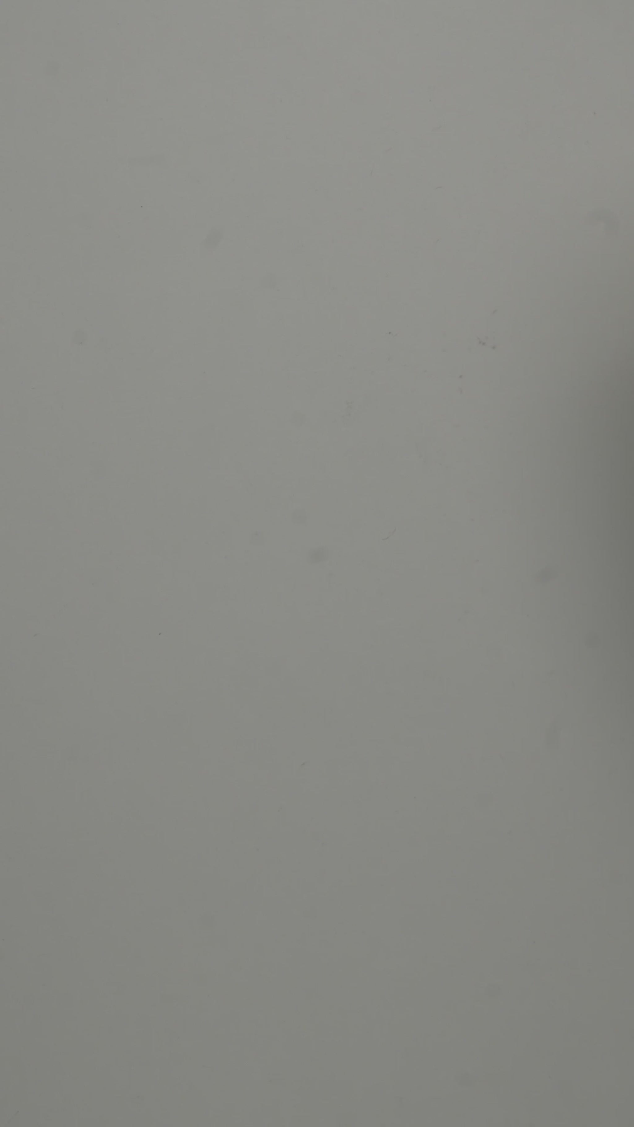 Video illustration on Homero Beer metal rolling tray